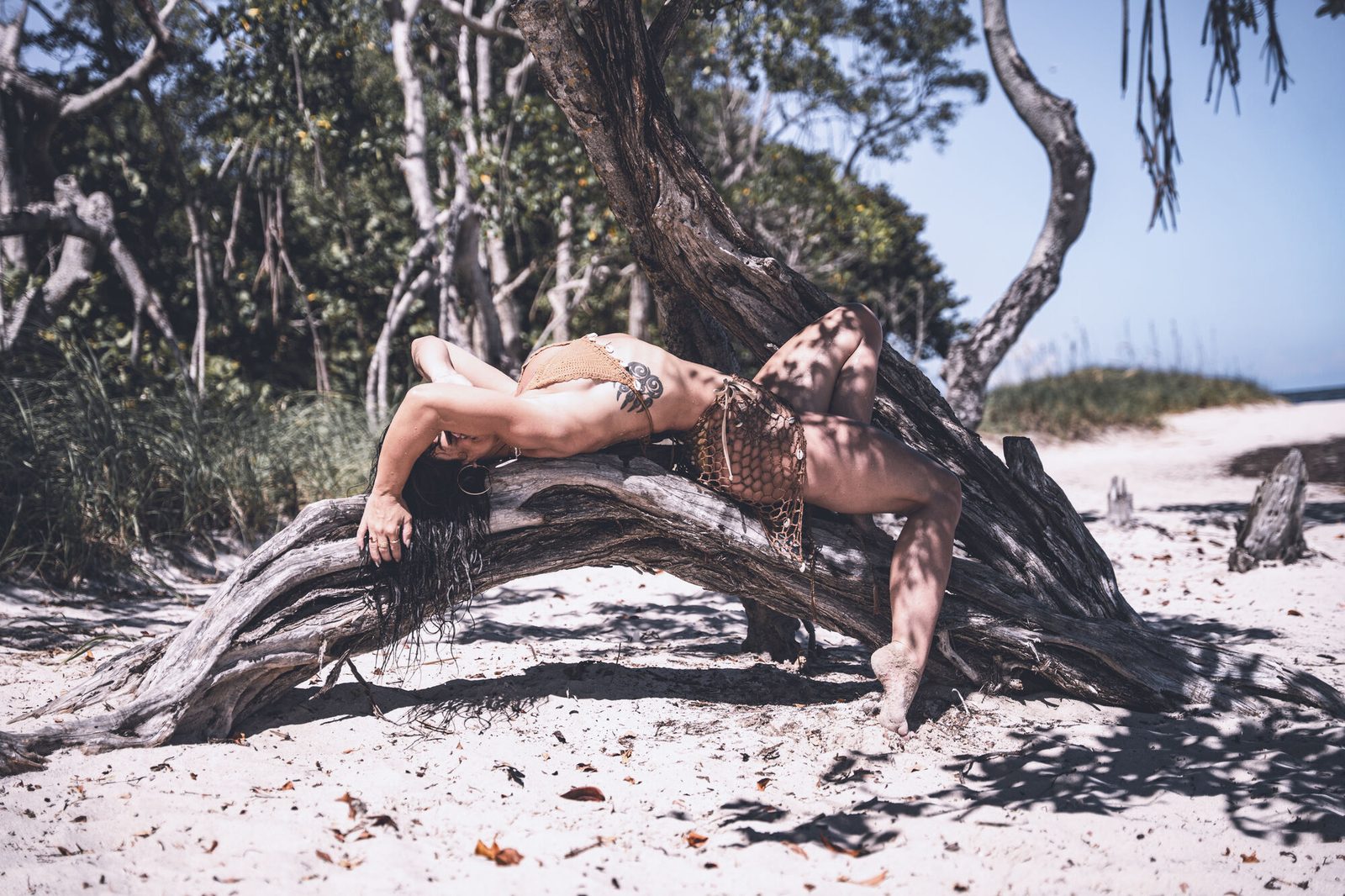 Reclined along a curved driftwood trunk in dappled shade